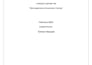 perform web application security testing as a professional ethical hacker